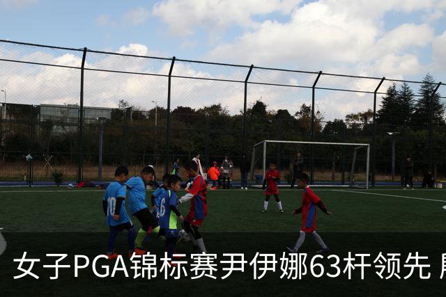 女子PGA锦标赛尹伊娜63杆领先 殷若宁张维维T27