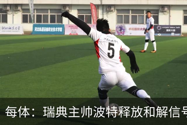 每体：瑞典主帅波特释放和解信号，巴德吉可能重返国家队